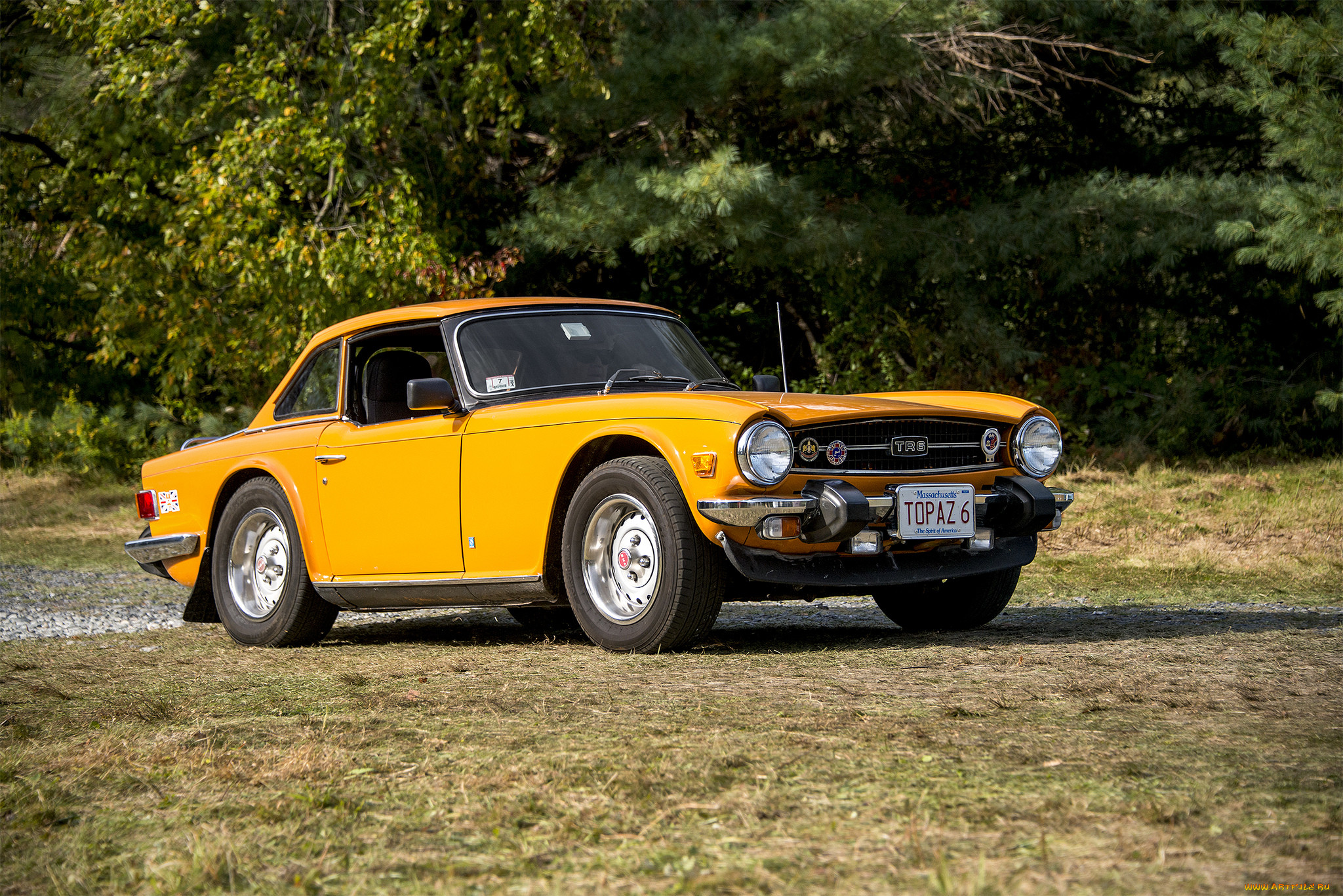 triumph tr6, , triumph, , , 